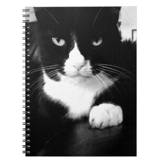 Kitty Bad Attitude - Impress Me - Notebook Notizblock (Vorderseite)
