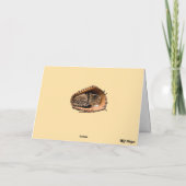 Kitty Baseball Karte (Rückseite)