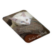 Kitty Bling Foto Magnet (Rechte Seite)