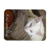 Kitty Bling Foto Magnet (Horizontal)