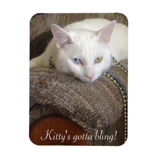 Kitty Bling Foto Magnet (Vertikal)