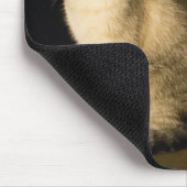 Kitty blue eyes mousepad (Ecke)