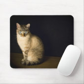 Kitty blue eyes mousepad (Mit Mouse)