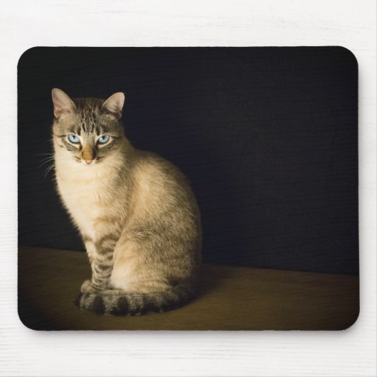 Kitty blue eyes mousepad (Vorne)