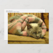 Kitty Burrito Postkarte (Vorne/Hinten)