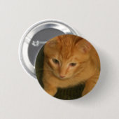 Kitty Button (Vorne & Hinten)