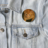 Kitty Button (Beispiel)