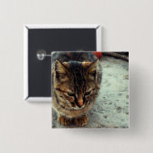 Kitty Button (Vorne & Hinten)