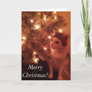 Kitty by Christmas Tree Grußkarte Feiertagskarte