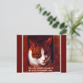 "Kitty camouflage club" Postkarte (Stehend Vorderseite)