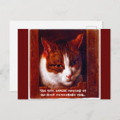 "Kitty camouflage club" Postkarte (Vorne/Hinten)