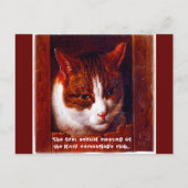 "Kitty camouflage club" Postkarte (Vorderseite)