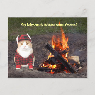 Kitty Campfire Postkarte
