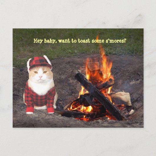 Kitty Campfire Postkarte (Vorderseite)