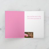 Kitty Cancer Wisdom Card Karte (Innenseite)