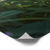 *~* Kitty Cat 5:4 Feline Kitten Black Tuxedo Poster (Ecke)