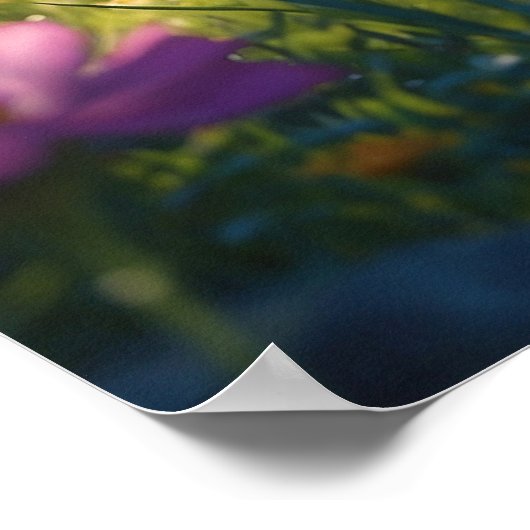 *~* Kitty Cat 5:4 Feline Kitten Blume Poster (Ecke)