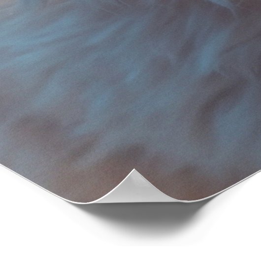 *~* Kitty Cat 5:4 Kitten White Long Hair Fluffy Poster (Ecke)