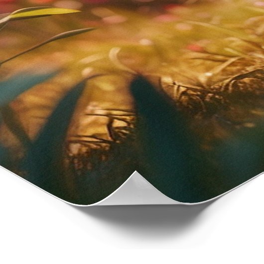 *~* Kitty Cat 5:4 Kitten White Long Hair Fluffy Poster (Ecke)