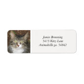 Kitty Cat Address Label (Vorne)