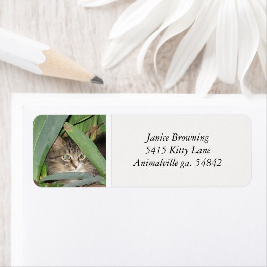 Kitty Cat Address Label (Insitu)