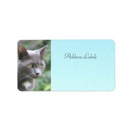 Kitty Cat Address Labels Adressaufkleber