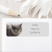 Kitty Cat Animal Address Labels (Insitu)
