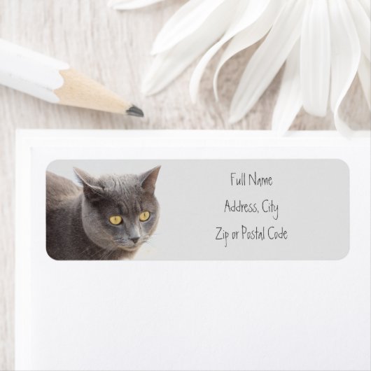 Kitty Cat Animal Address Labels (Insitu)
