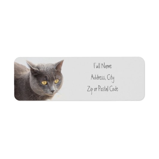 Kitty Cat Animal Address Labels (Vorne)