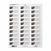 Kitty Cat Animal Address Labels (Vorne)