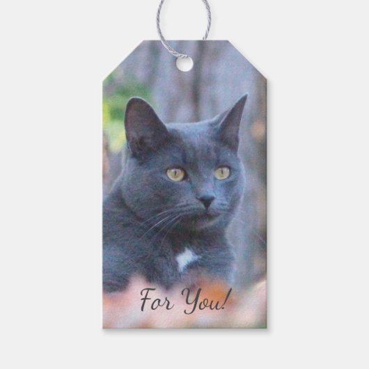 Kitty Cat Animal Geschenkanhänger (Vorderseite)