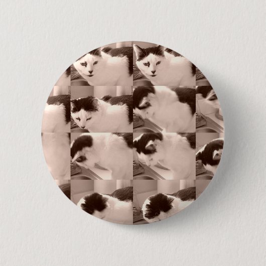 Kitty Cat/Black & White Foto Button (Vorderseite)