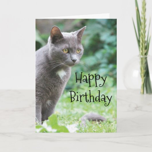 Kitty Cat Card Karte (Vorderseite)