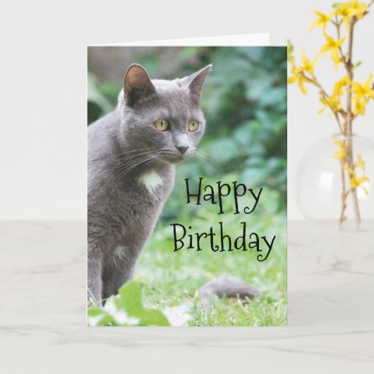 Kitty Cat Card Karte (Gelbe Blume)