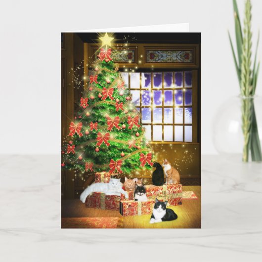 Kitty Cat Christmas Feiertagskarte (Vorderseite)