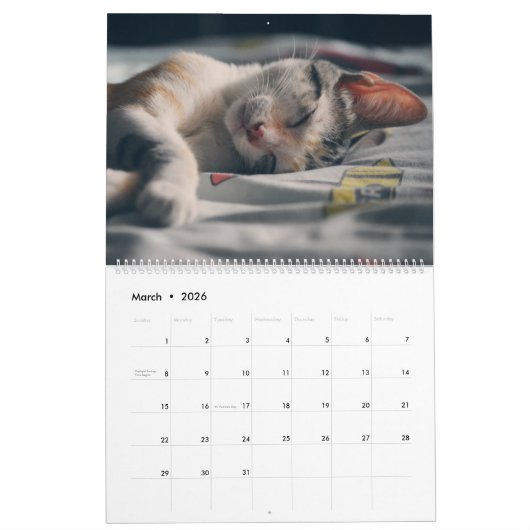 Kitty Cat Collection Kalender (groß) (Mär 2026)