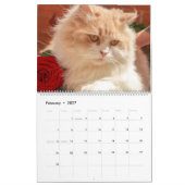 Kitty Cat Collection Kalender (groß) (Feb 2027)