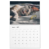 Kitty Cat Collection Kalender (groß) (Mär 2027)