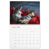 Kitty Cat Collection Kalender (groß) (Jan 2027)