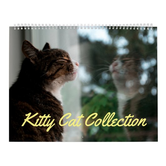 Kitty Cat Collection Kalender (groß) (Titelbild)