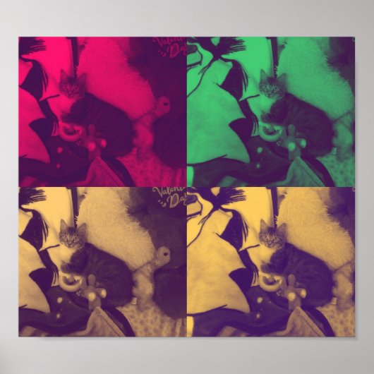 Kitty Cat Colors mix Poster (Vorne)