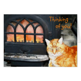 Kitty Cat Denken Sie an Ihre Karte
