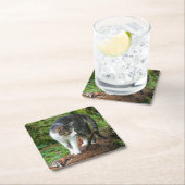 Kitty - Cat - Drink Untersetzer (Vor Ort)