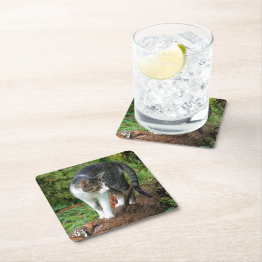 Kitty - Cat - Drink Untersetzer (Vor Ort)