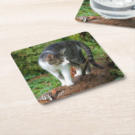 Kitty - Cat - Drink Untersetzer (angewinkelt)