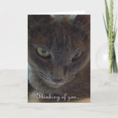 Kitty Cat Get Well Grußkarte Karte (Vorderseite)