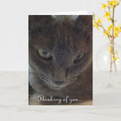 Kitty Cat Get Well Grußkarte Karte (Gelbe Blume)