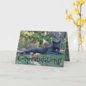 Kitty Cat Herzlichen Glückwunsch Karte (Gelbe Blume)