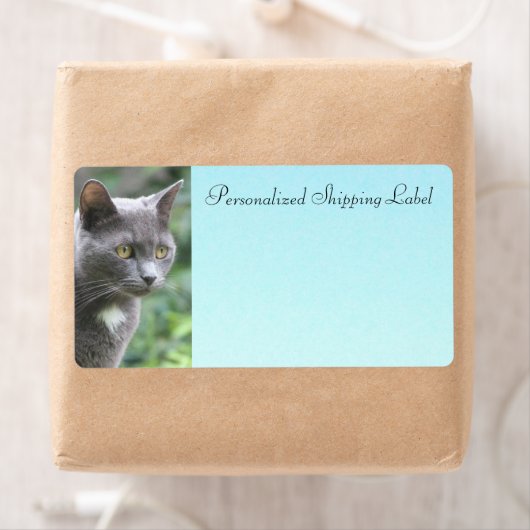 Kitty Cat in Grau (Insitu)