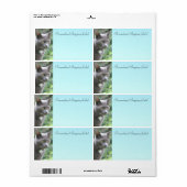 Kitty Cat in Grau (Vorne)